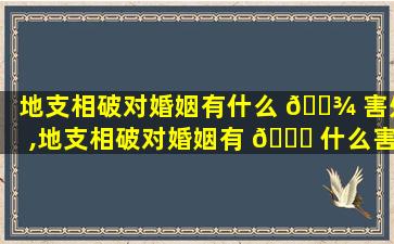 地支相破对婚姻有什么 🌾 害处,地支相破对婚姻有 🐝 什么害处吗